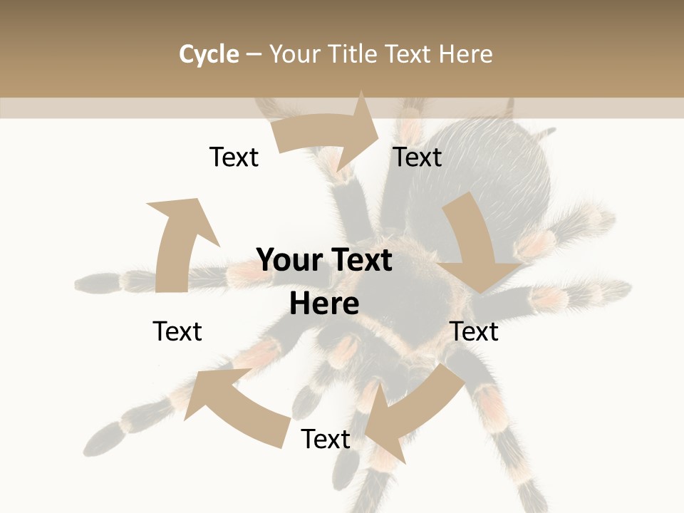 Arachnid Wild Poisonous PowerPoint Template