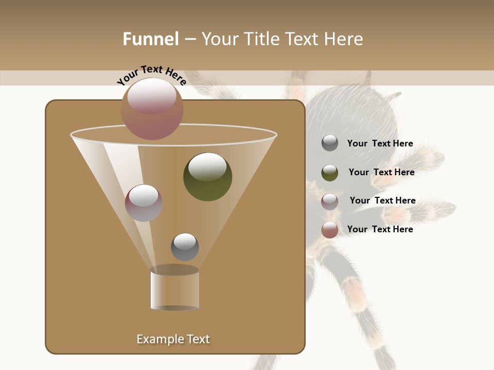 Arachnid Wild Poisonous PowerPoint Template