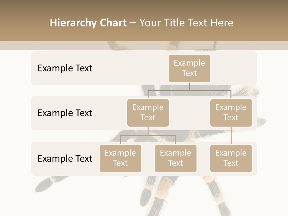 Arachnid Wild Poisonous PowerPoint Template