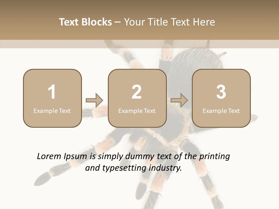 Arachnid Wild Poisonous PowerPoint Template