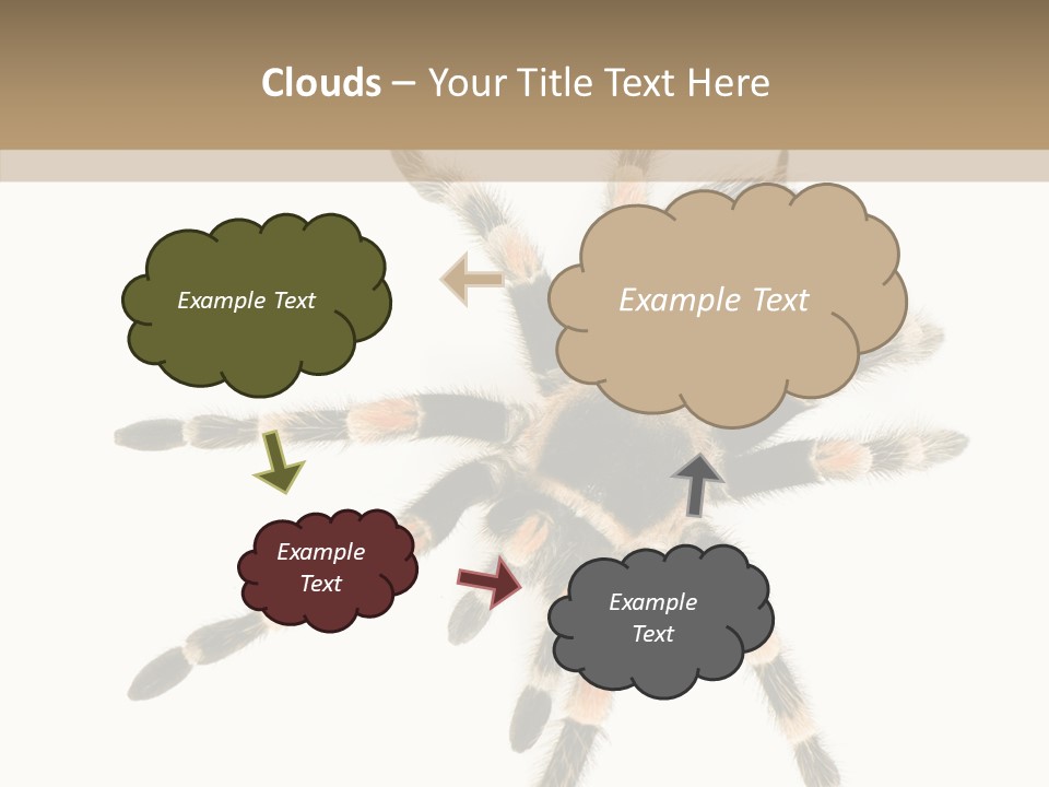 Arachnid Wild Poisonous PowerPoint Template