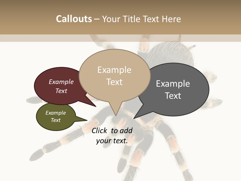 Arachnid Wild Poisonous PowerPoint Template