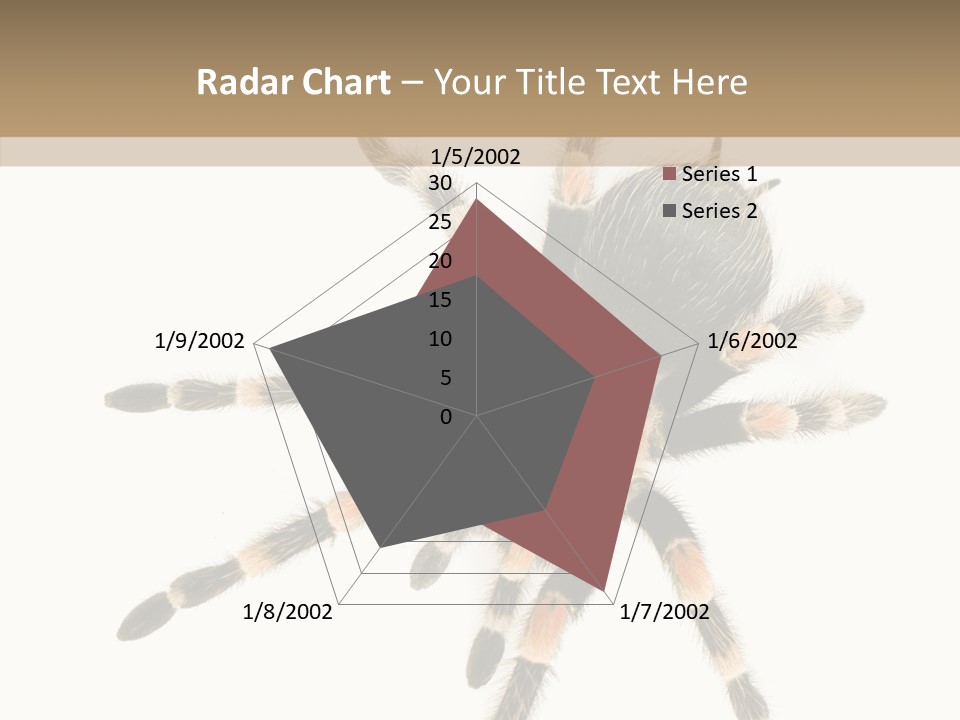 Arachnid Wild Poisonous PowerPoint Template