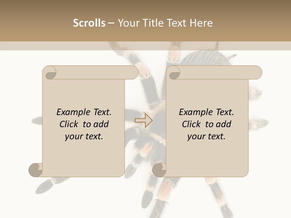 Arachnid Wild Poisonous PowerPoint Template