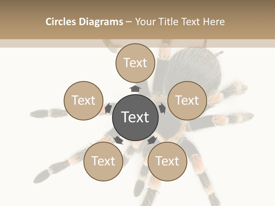 Arachnid Wild Poisonous PowerPoint Template