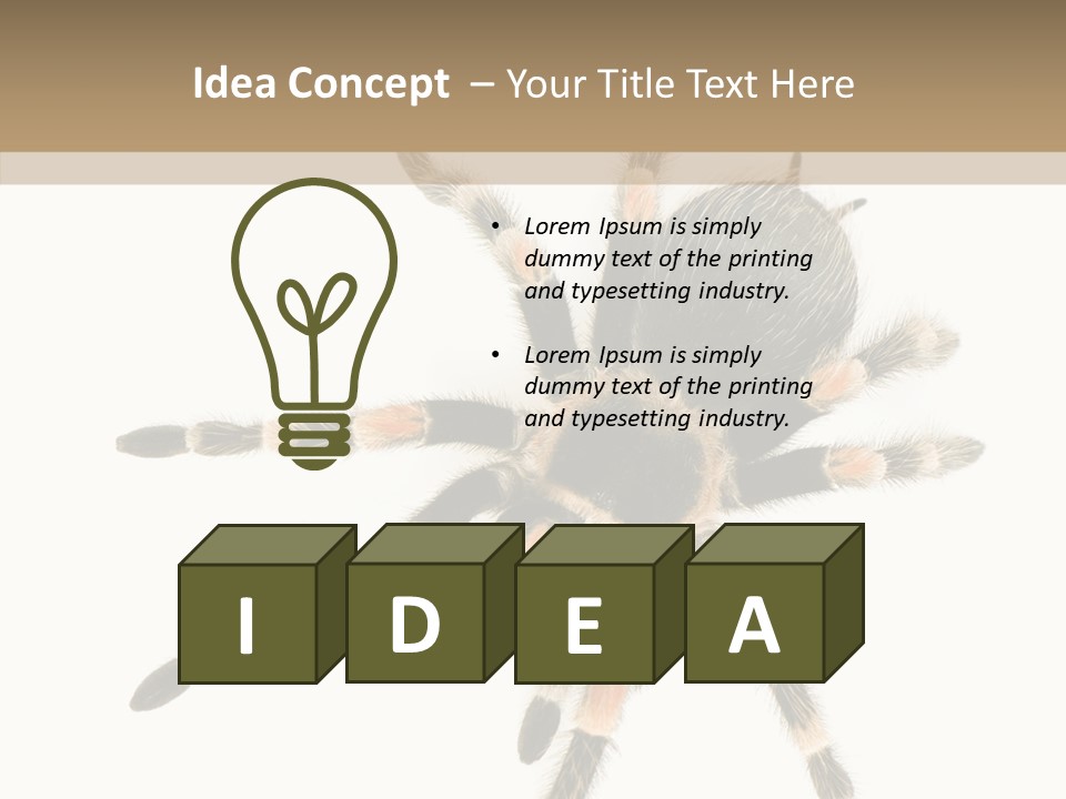 Arachnid Wild Poisonous PowerPoint Template