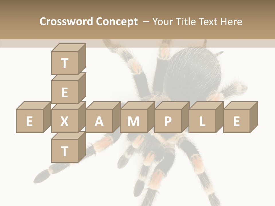 Arachnid Wild Poisonous PowerPoint Template