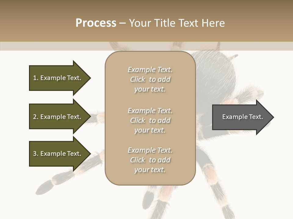 Arachnid Wild Poisonous PowerPoint Template