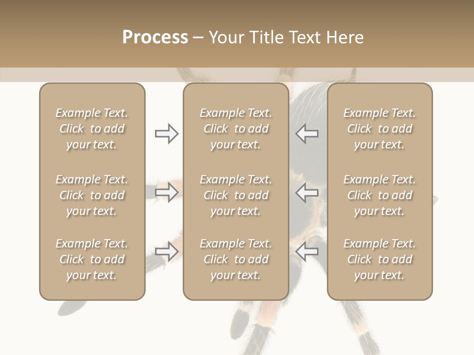 Arachnid Wild Poisonous PowerPoint Template