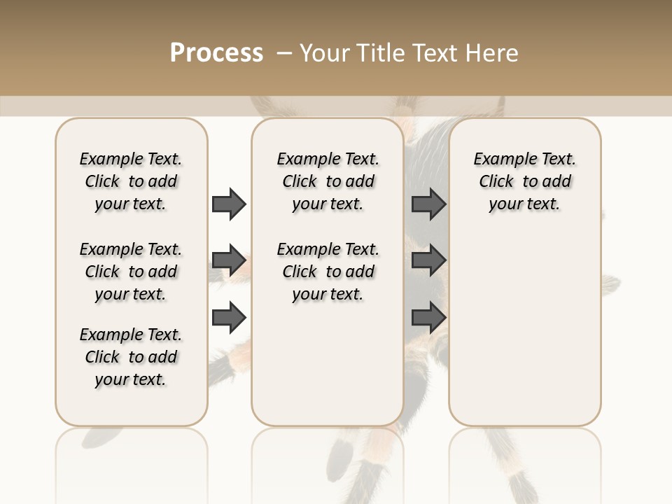 Arachnid Wild Poisonous PowerPoint Template