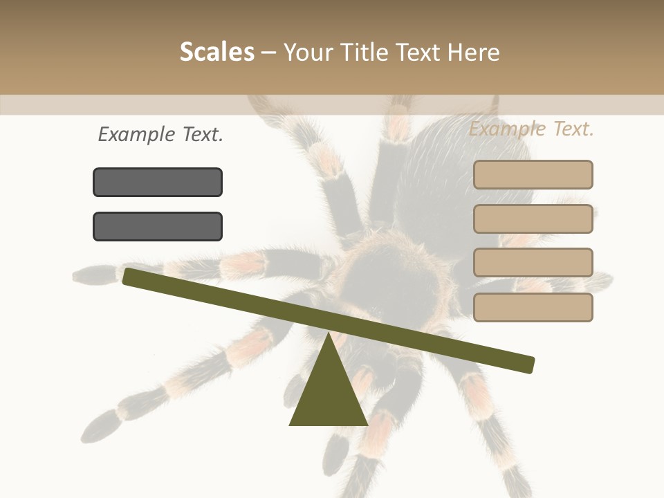 Arachnid Wild Poisonous PowerPoint Template