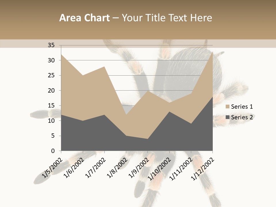 Arachnid Wild Poisonous PowerPoint Template
