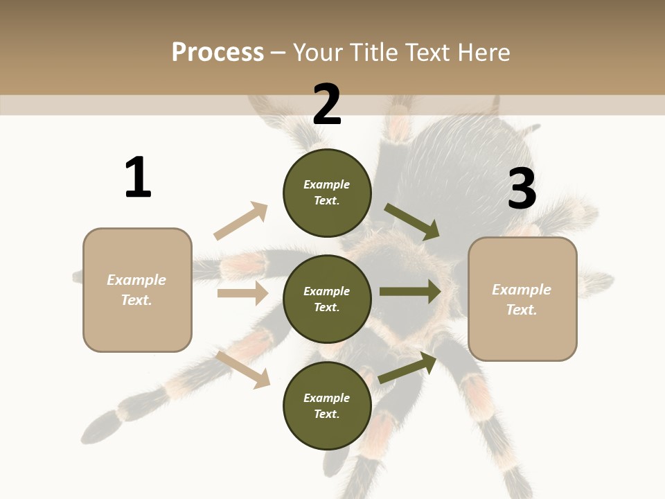 Arachnid Wild Poisonous PowerPoint Template