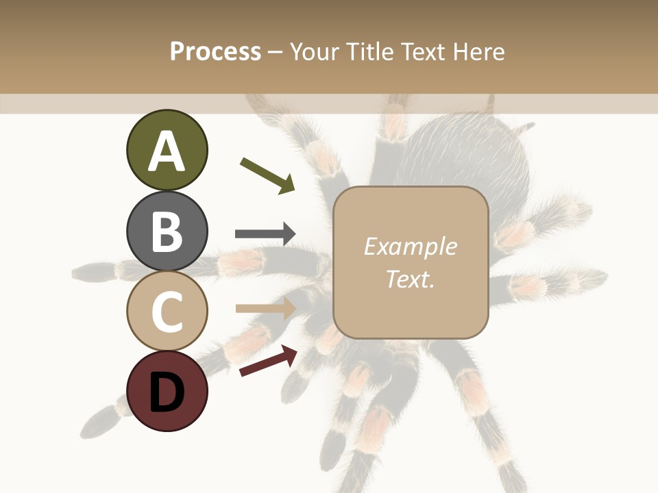 Arachnid Wild Poisonous PowerPoint Template