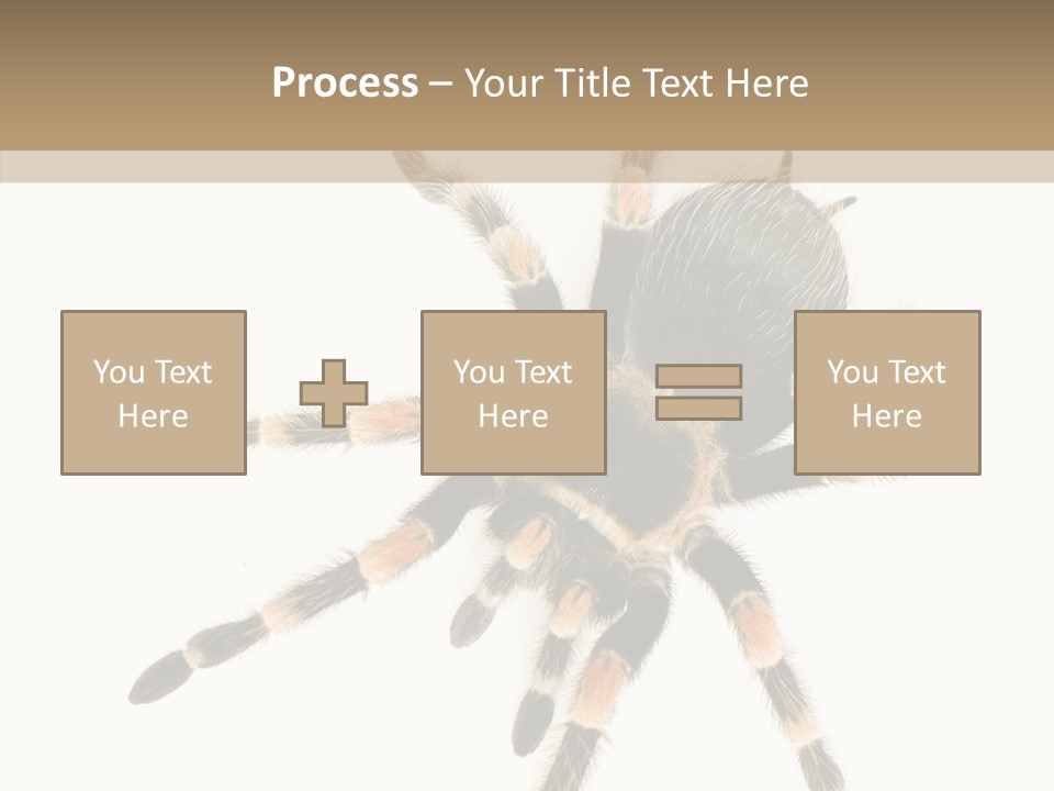 Arachnid Wild Poisonous PowerPoint Template