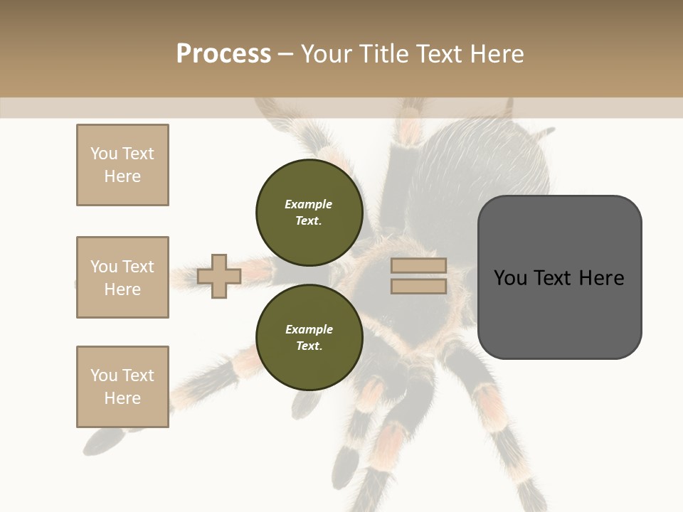 Arachnid Wild Poisonous PowerPoint Template
