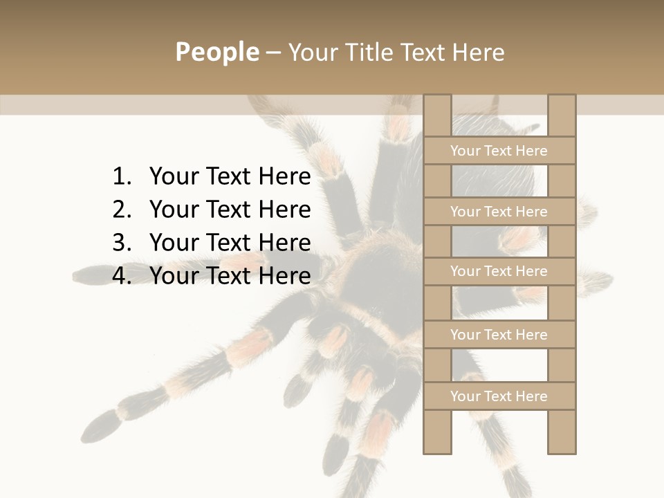 Arachnid Wild Poisonous PowerPoint Template