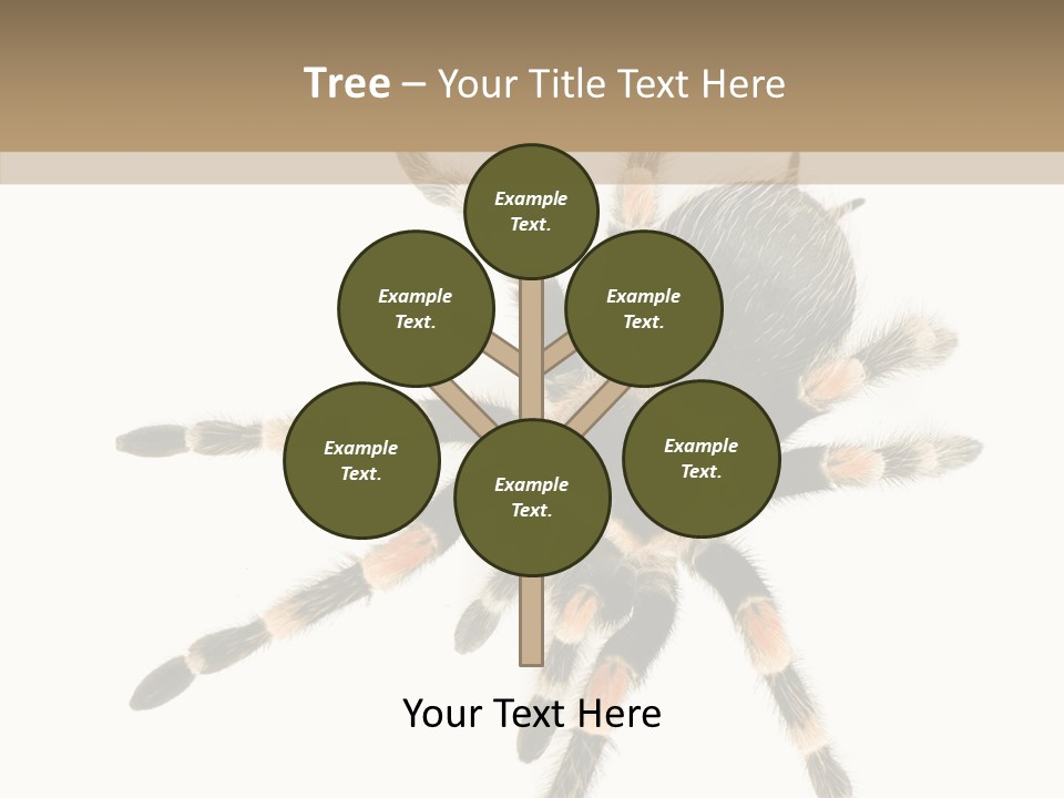 Arachnid Wild Poisonous PowerPoint Template