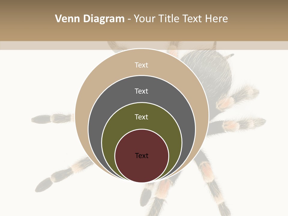 Arachnid Wild Poisonous PowerPoint Template