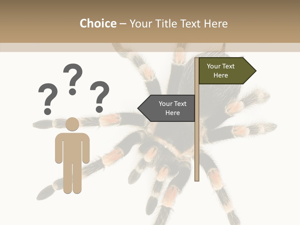Arachnid Wild Poisonous PowerPoint Template