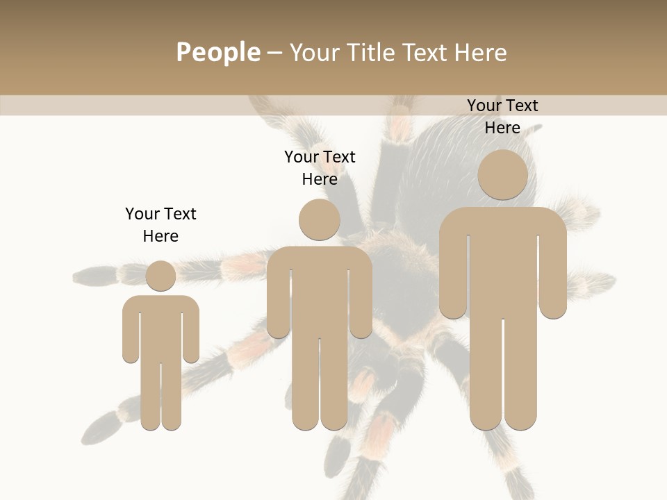 Arachnid Wild Poisonous PowerPoint Template