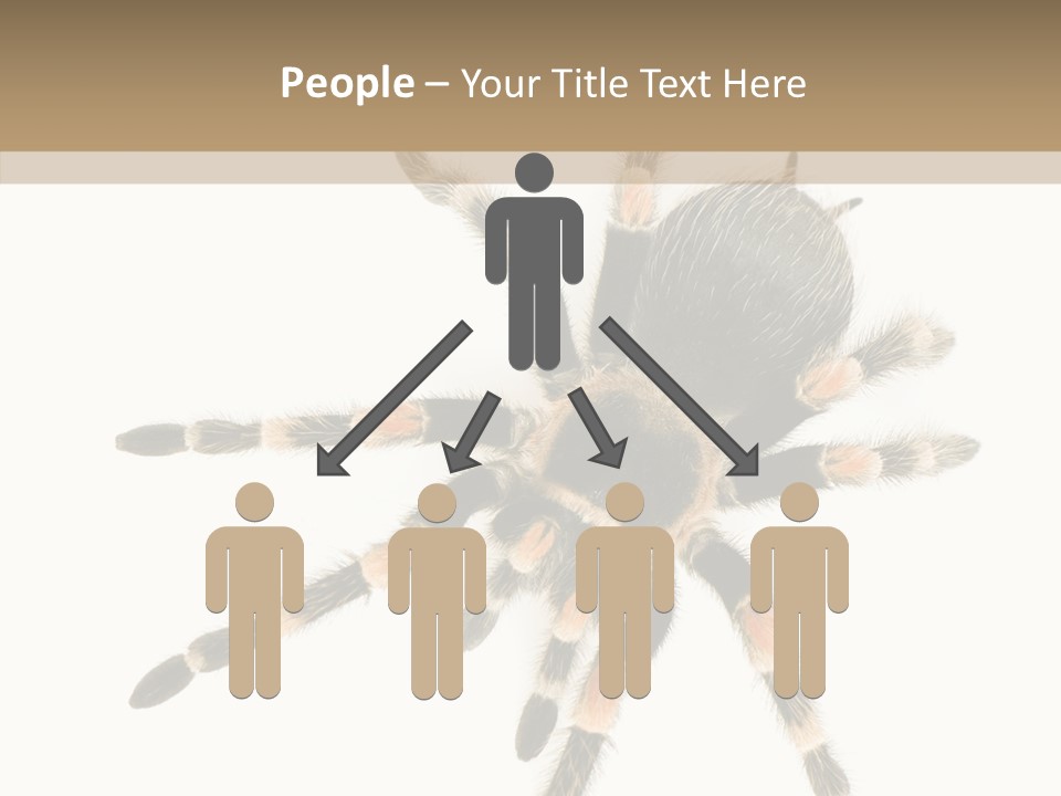 Arachnid Wild Poisonous PowerPoint Template