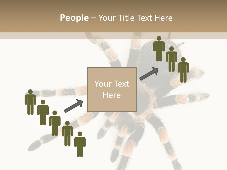 Arachnid Wild Poisonous PowerPoint Template