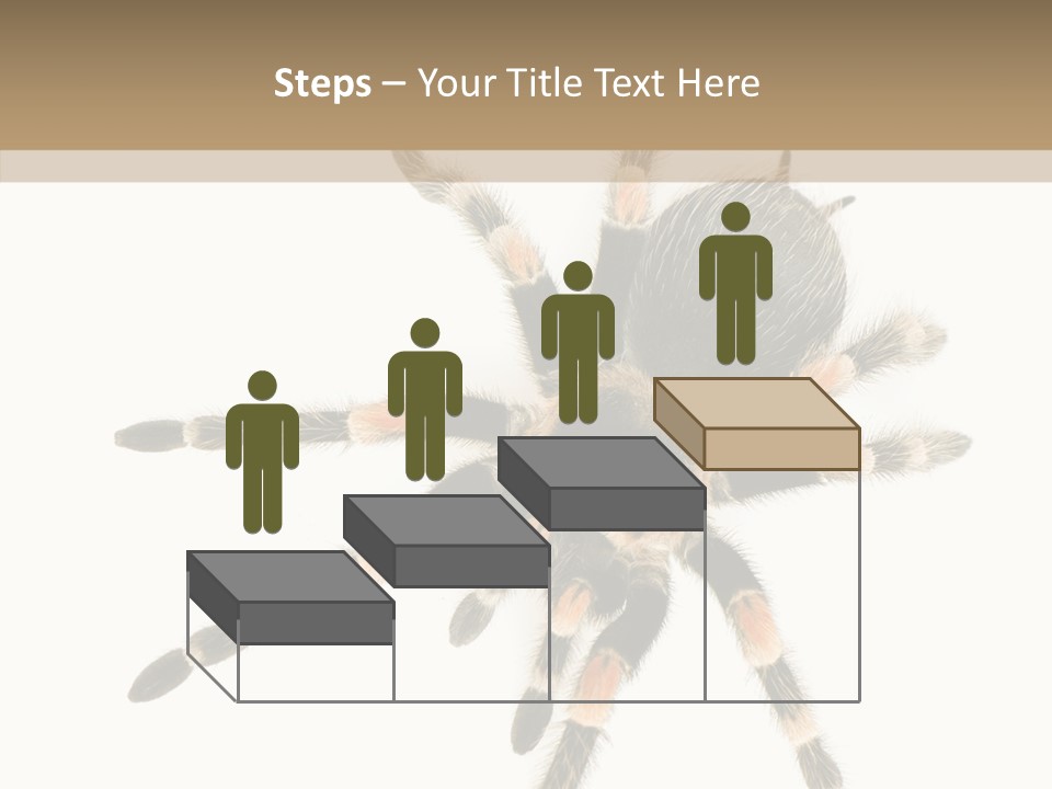 Arachnid Wild Poisonous PowerPoint Template