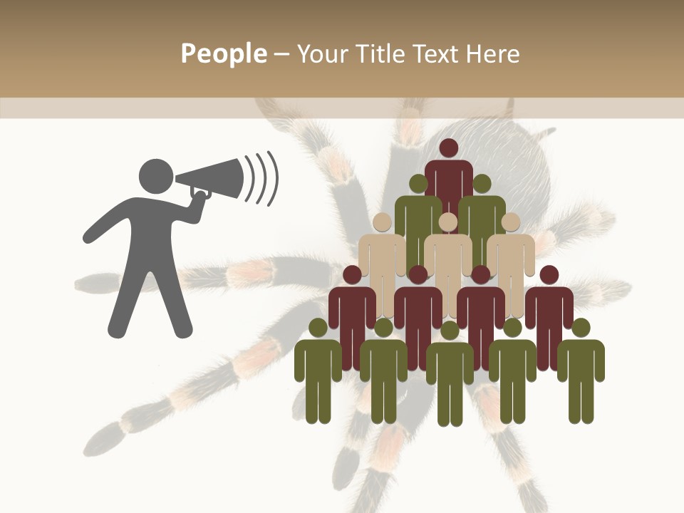 Arachnid Wild Poisonous PowerPoint Template