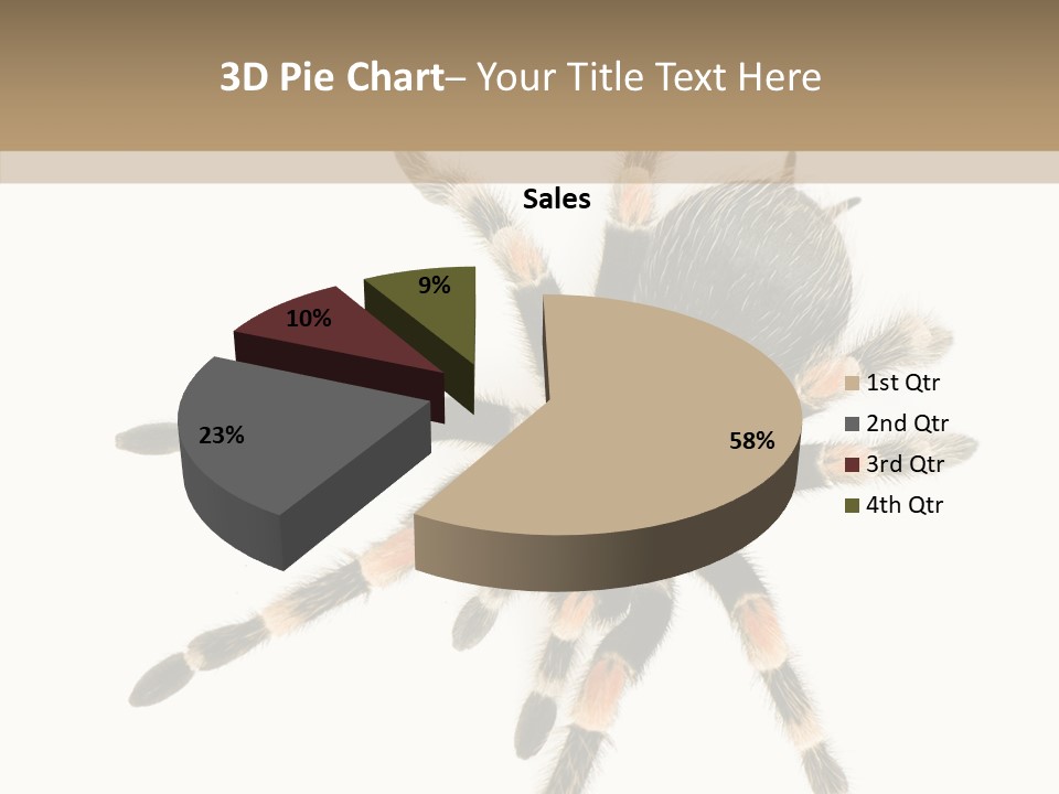 Arachnid Wild Poisonous PowerPoint Template