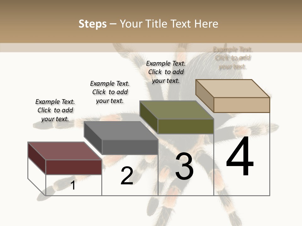 Arachnid Wild Poisonous PowerPoint Template