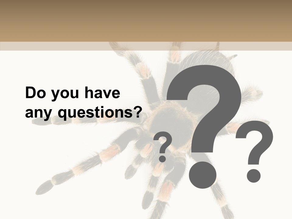 Arachnid Wild Poisonous PowerPoint Template