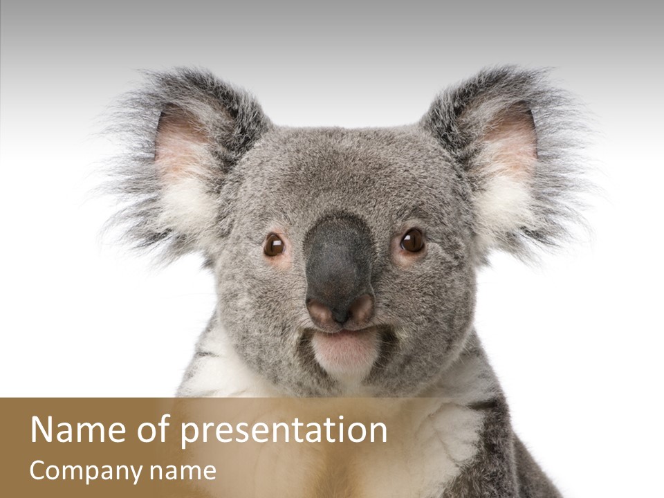Grey Furry People PowerPoint Template