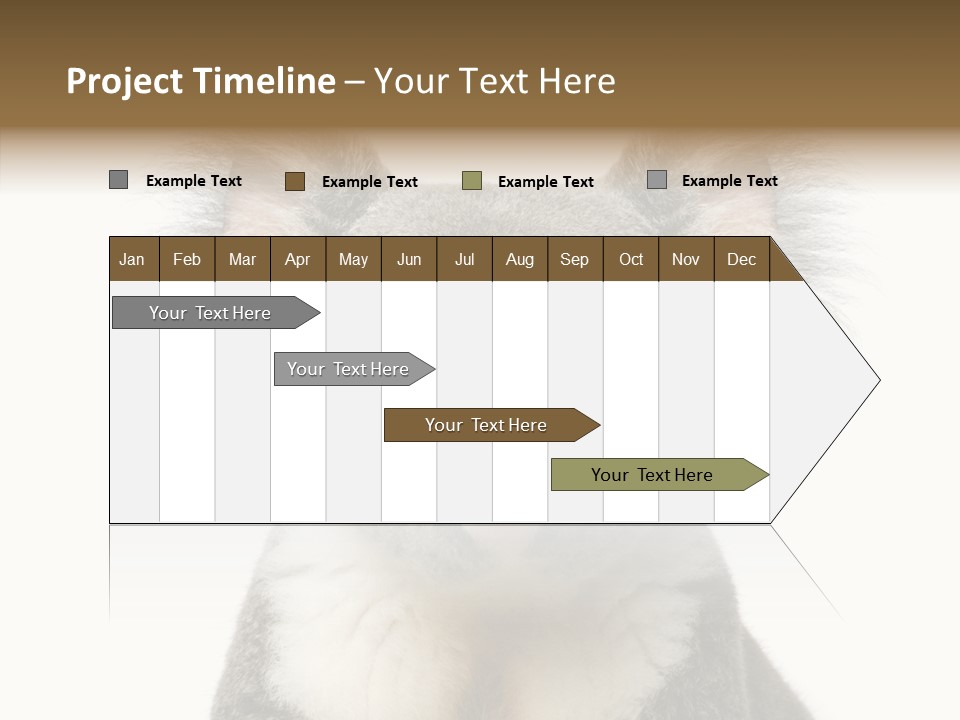 Grey Furry People PowerPoint Template