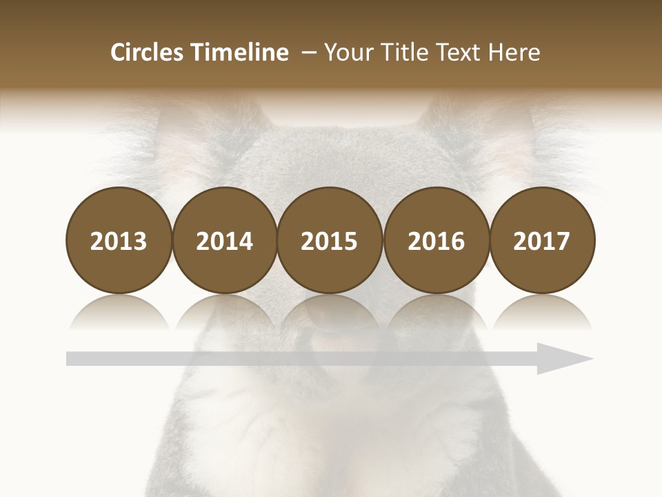 Grey Furry People PowerPoint Template
