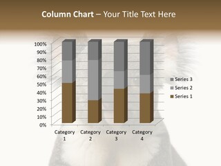 Grey Furry People PowerPoint Template