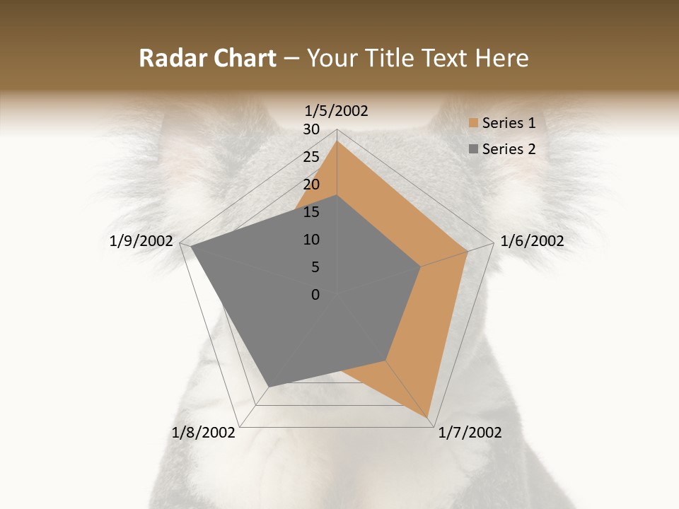 Grey Furry People PowerPoint Template