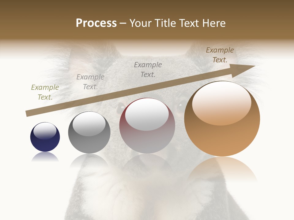 Grey Furry People PowerPoint Template