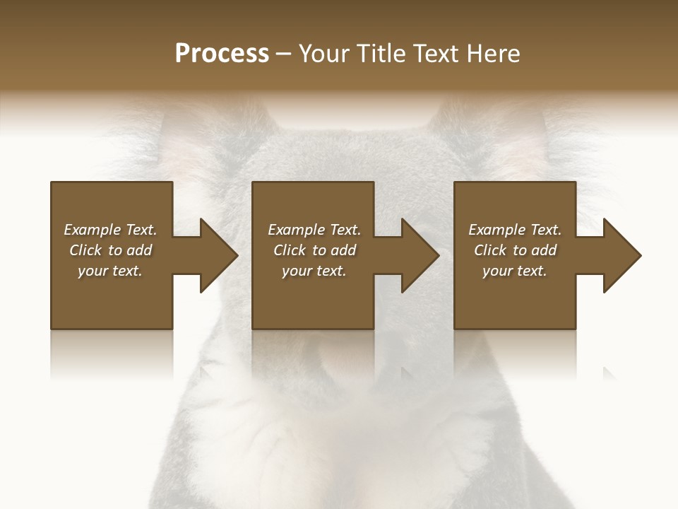 Grey Furry People PowerPoint Template