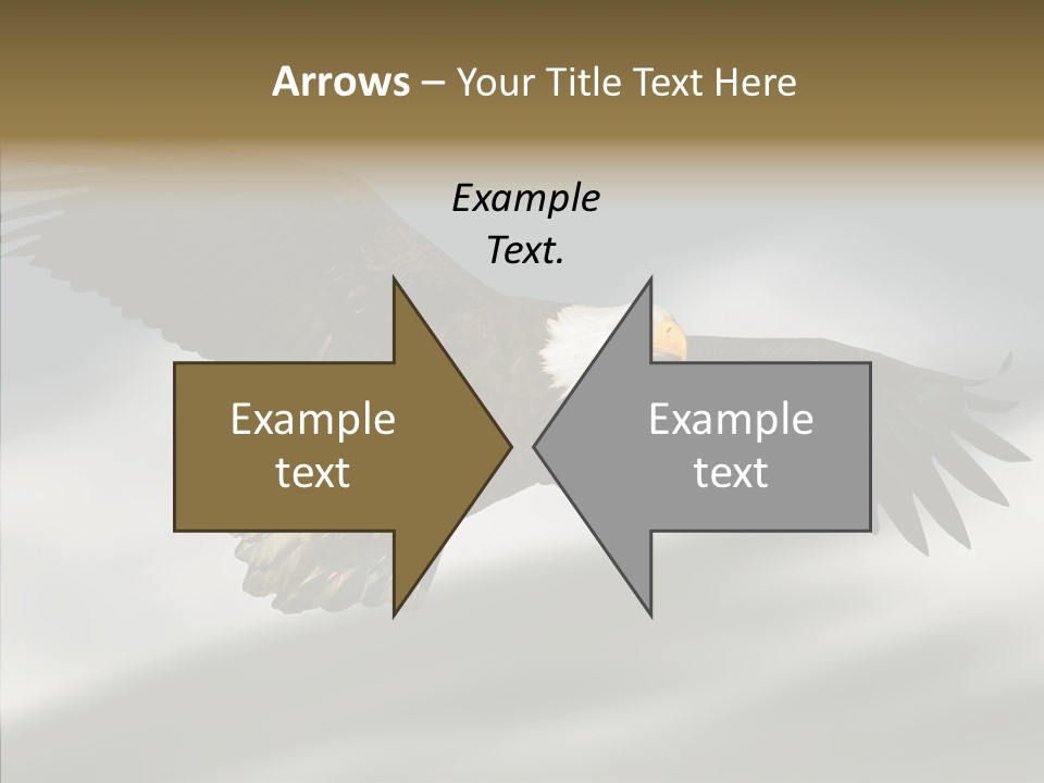 Outdoor Bald Government PowerPoint Template