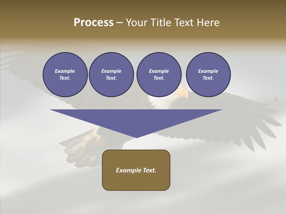 Outdoor Bald Government PowerPoint Template