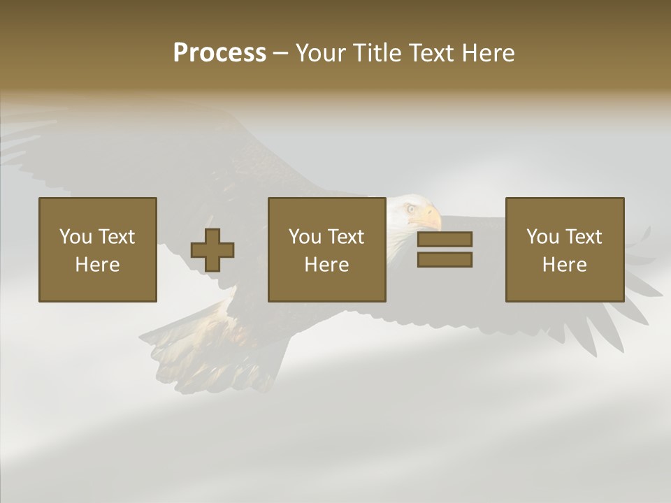 Outdoor Bald Government PowerPoint Template