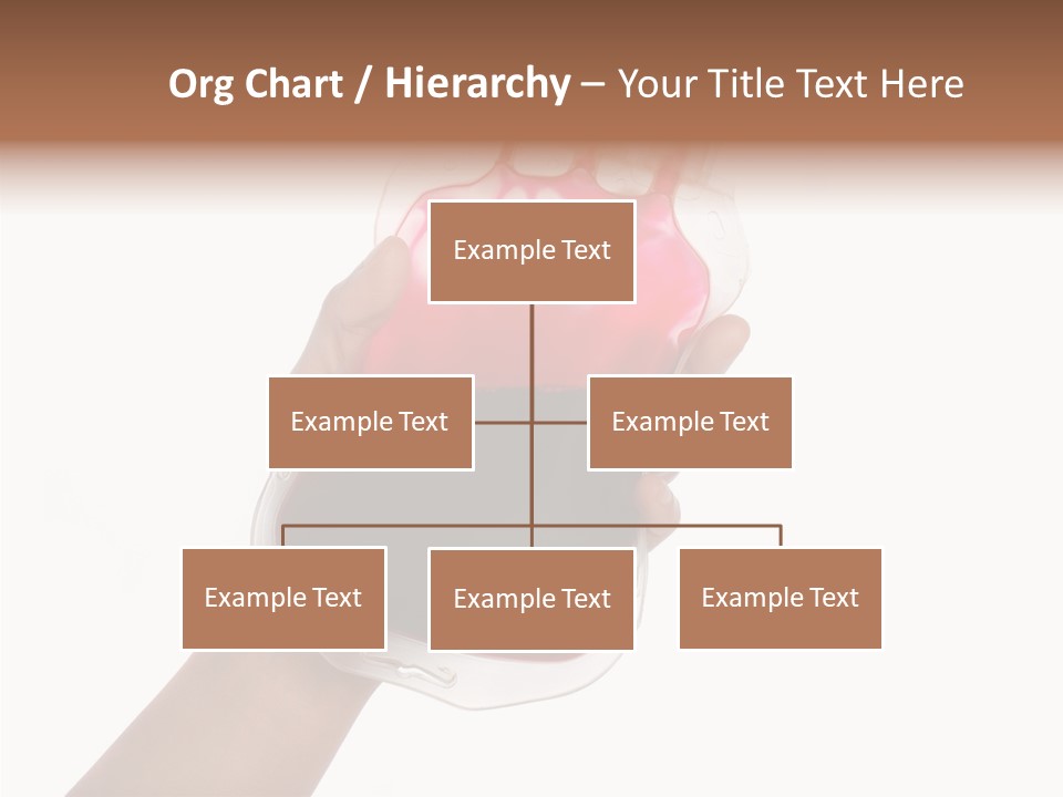 Transfusion Supply Process PowerPoint Template