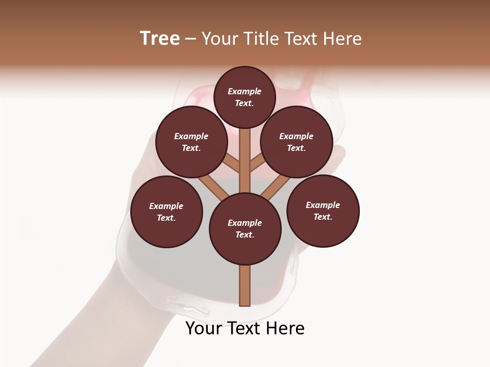 Transfusion Supply Process PowerPoint Template