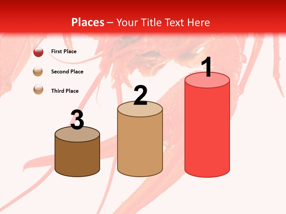 New White Marine PowerPoint Template