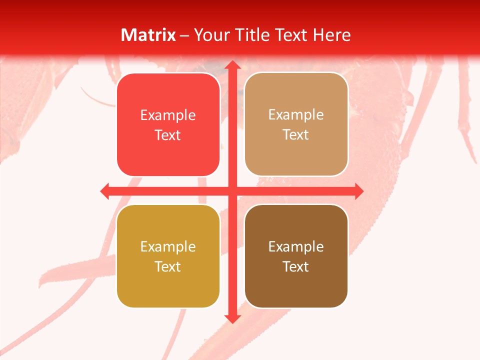 New White Marine PowerPoint Template