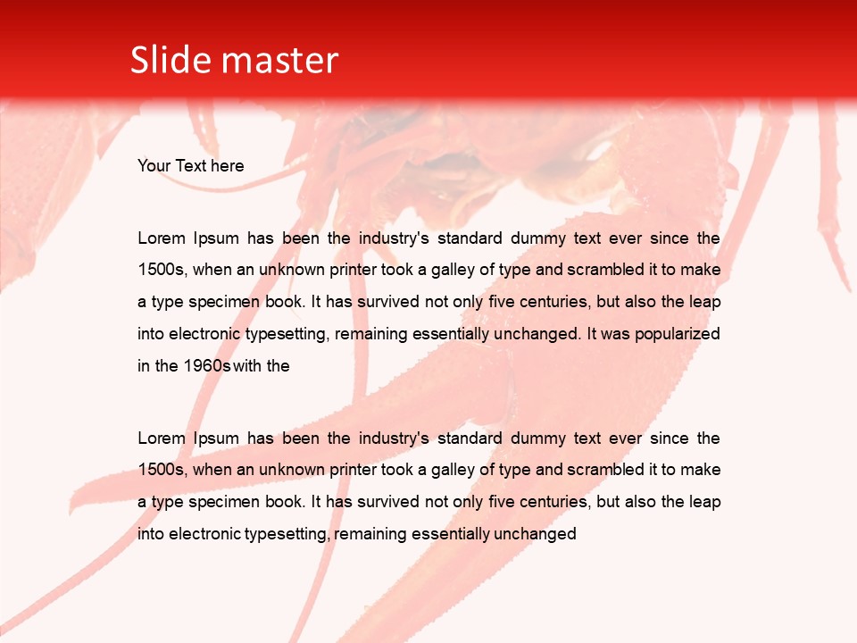 New White Marine PowerPoint Template