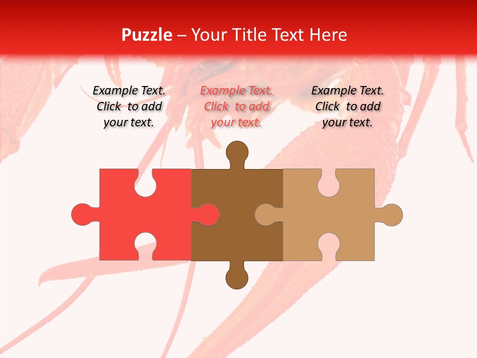 New White Marine PowerPoint Template