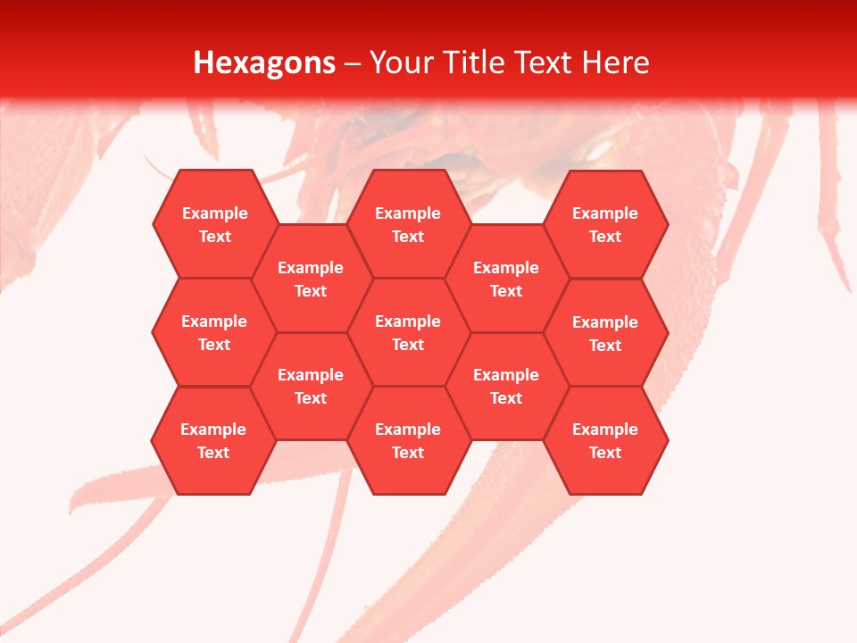 New White Marine PowerPoint Template