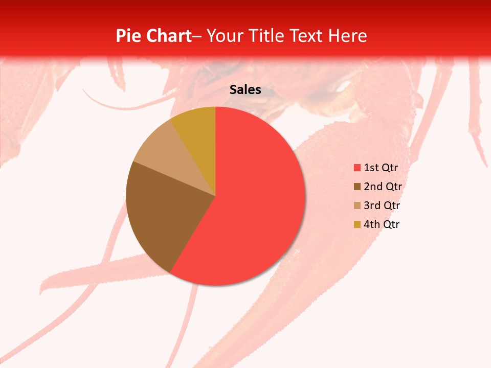 New White Marine PowerPoint Template